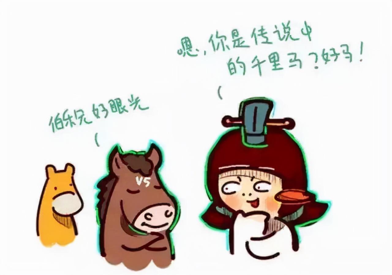 绝佳解释落实，家有六畜的生肖谜题