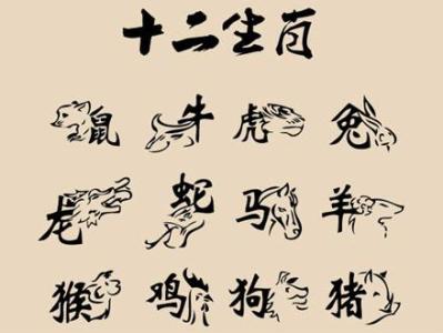 发字打一肖是什么生肖、正确解释与落实