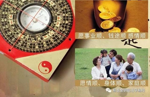 人参与生肖的神秘联系，专业解读与文化解析