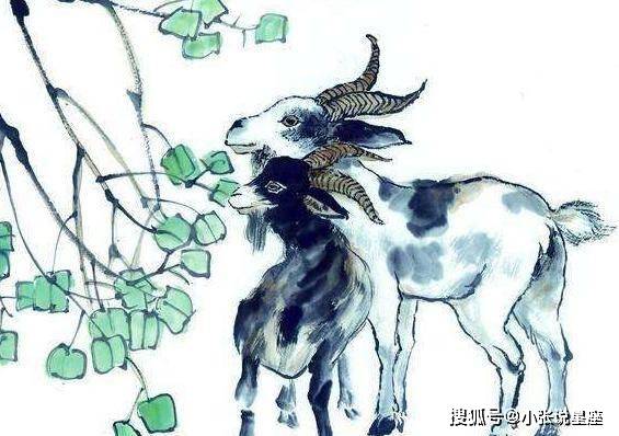 高抬贵手与不安分之选,生肖背后的智慧与勇气 高抬贵手与不安分之选,生肖背后的智慧与勇气