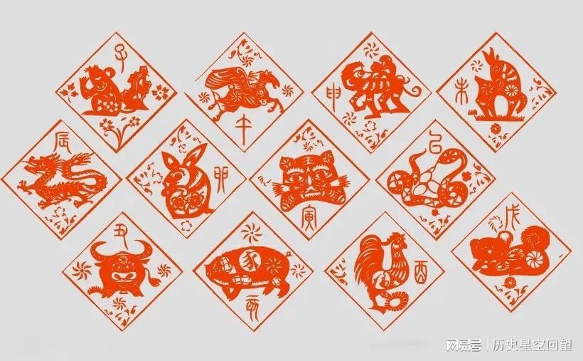 不打自招的生肖启示，社会进步与文化解析的微妙交织