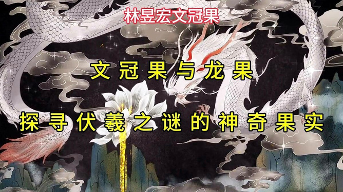 邓丽君与生肖之谜，探寻音乐背后的哲理