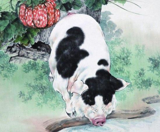 心理医生与生肖的奇妙邂逅，一场关于自我发现的旅程