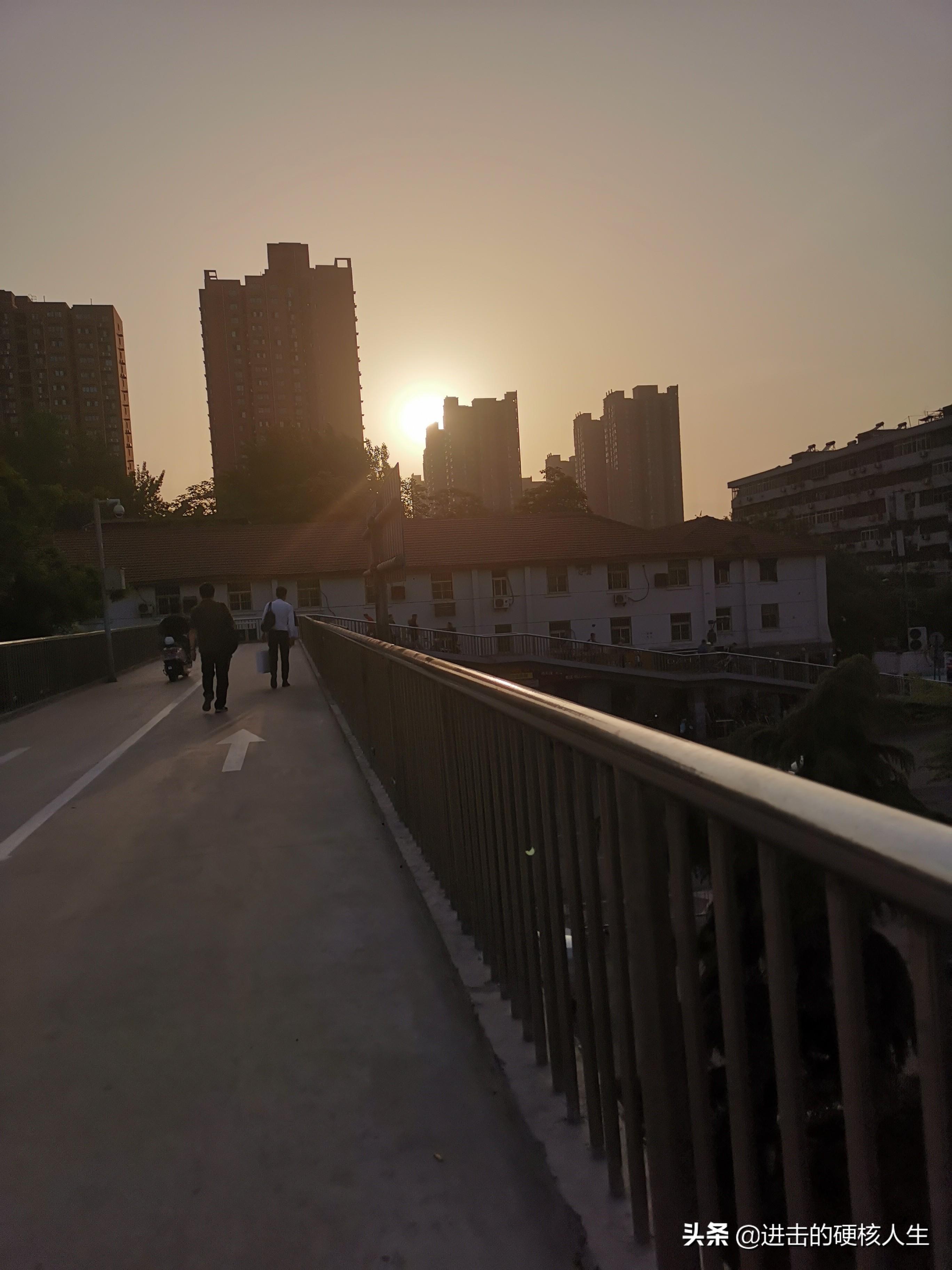 日影西斜话生肖，网络解释的落实与文化传承