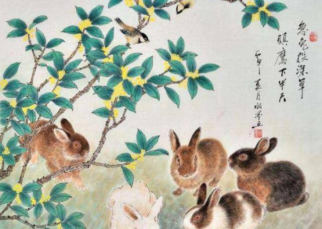 含英咀华打一生肖、的精准解答与落实精神