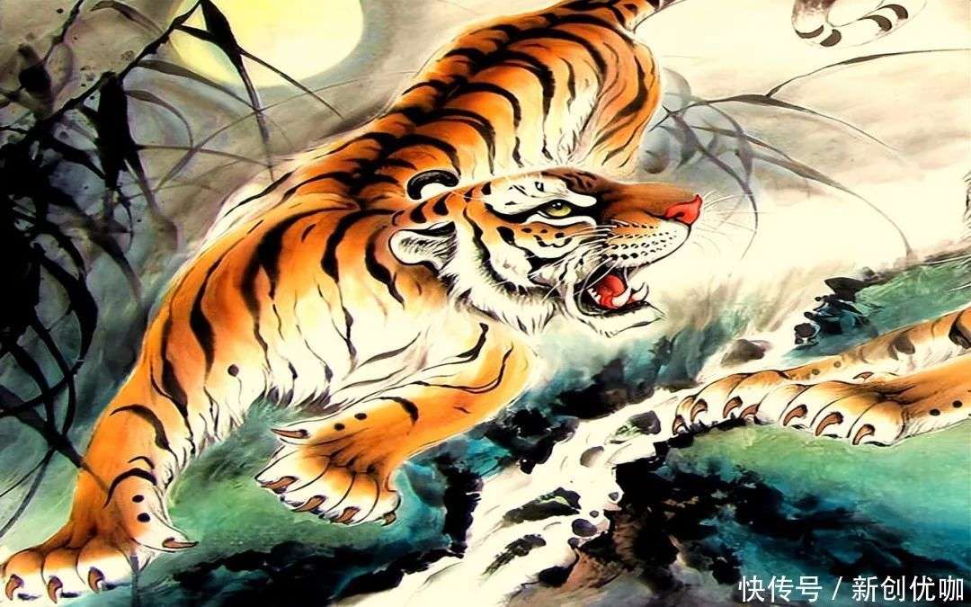 心谋诡计打一生肖，智慧与策略的较量与最快解答落实的艺术