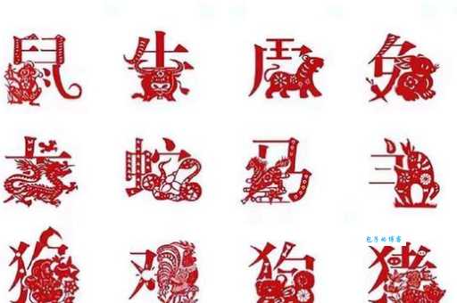 工字打一生肖、非凡解释落实