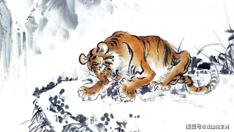 身打一生肖,以积极行动诠释生命之虎 身打一生肖,以积极行动诠释生命之虎