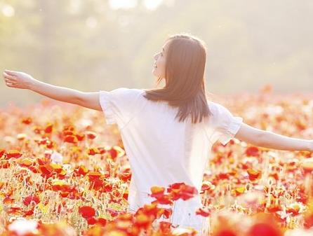 投机取巧打一生肖,兔—解释与落实的和谐共舞 投机取巧打一生肖,兔—解释与落实的和谐共舞