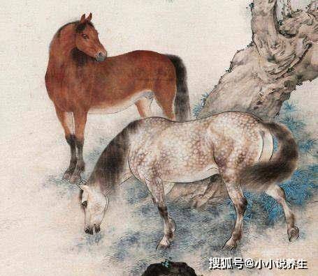 鸠车竹马打一生肖、沉稳作答落实解释