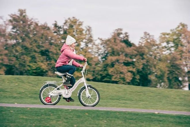人人愿骑低步行打一生肖、与积极行动的完美结合