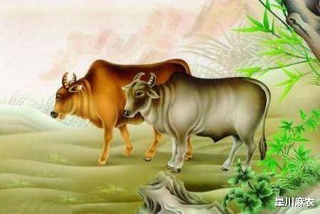 团结如磐，落实如牛—以气喘如牛为线索的生肖启示录