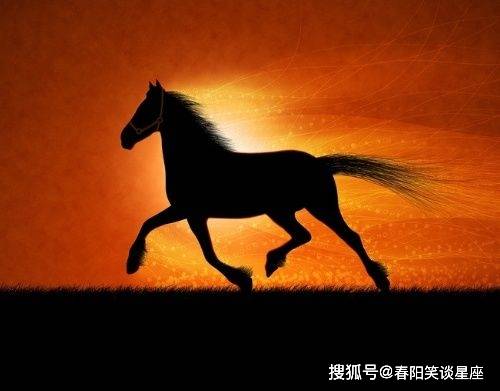 步伐轻盈的生肖之谜，真相与解释的落实