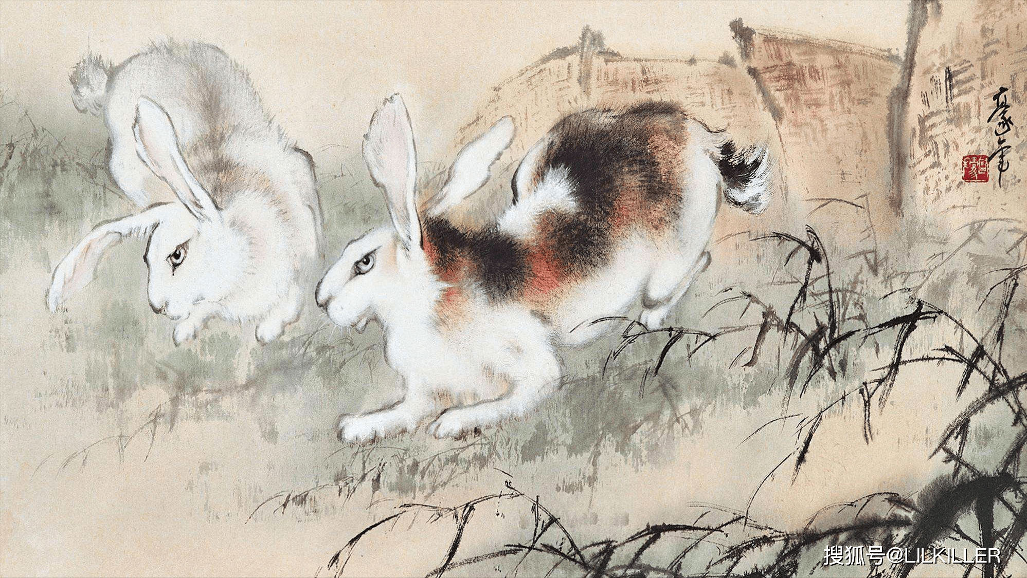 兔跃龙腾，生肖中的你追我赶与动物智慧的战略运用