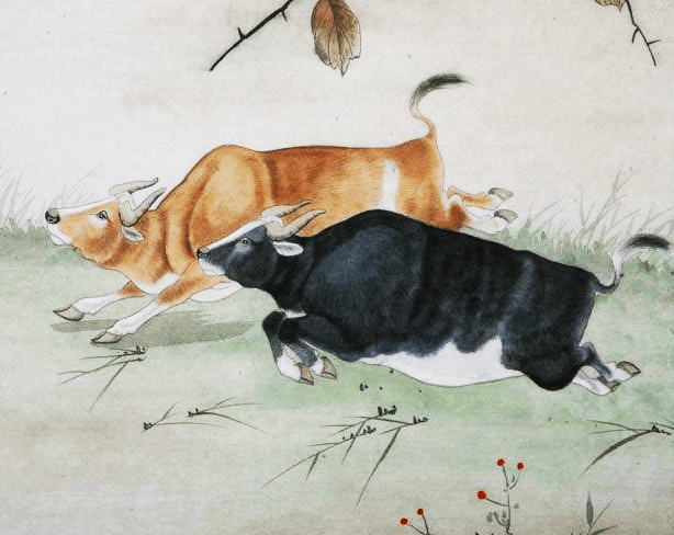 耳鬓相磨打一生肖，从消极到积极的转变