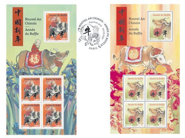 蓝头生肖出红蓝，解密与信任的双重奏